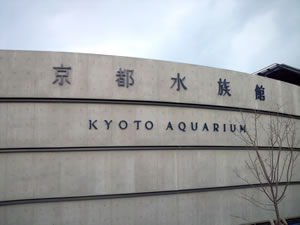 京都に水族館